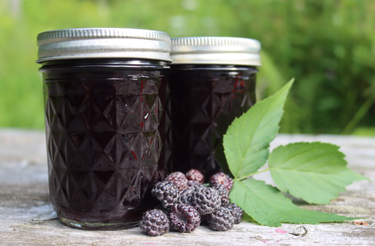 Black Raspberry Jelly Recipe